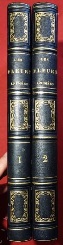 Encyclopédie ou dictionnaire raisonné des sciences des arts et des métiers