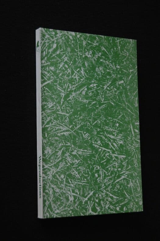 Le christ de l'Islam