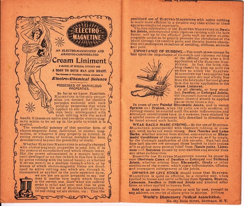 Manuel de Conchyliologie et de paléontologie conchyliologique