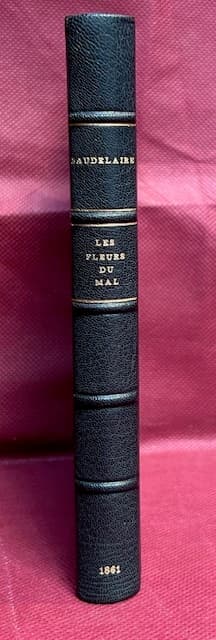 Recommandations Aux Promeneurs