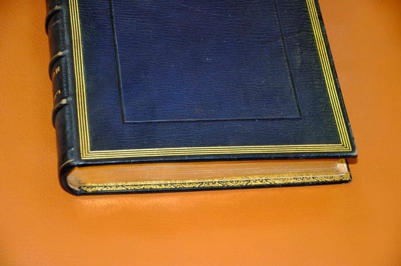 Nouvelle Flore coloriée de poche des alpes et des pyrénées